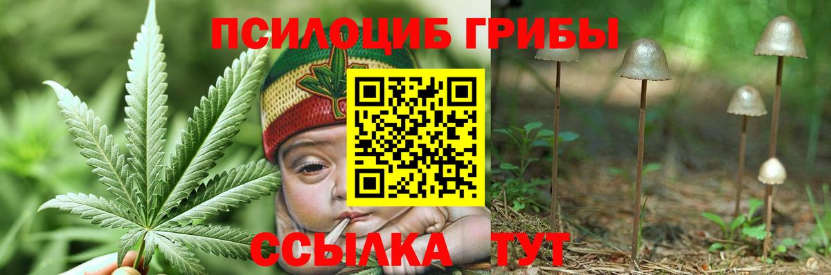 Псилоцибиновые грибы Magic Shrooms  Галлюциногенные грибы MAGIC MUSHROOMS  Вход с VPN  Чита 
